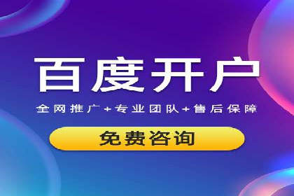 百度竞价公司案例分析：优化策略全解析